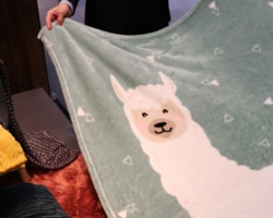 Předpověď trendů na rok 2019