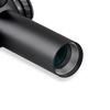 Discovery HD 1-6x24IR Riflescope