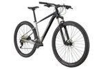 Horské kolo Cannondale Trail 29" SL 4 - Černá / Stříbrná