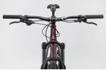 Pánské horské kolo NS Bikes ECCENTRIC CROMO 29 červená 2023