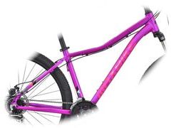 Dámské horské kolo Maxbike Taal Lady 29" - Fialová / Tyrkysová 2022 - Dámské horské kolo Maxbike Taal Lady 29" - Fialová / Tyrkysová 2022