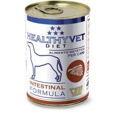 HEALTHYVET DIET dog Intestinal - podpora trávenia a pankreasu 400 g exp 02/2024 ZĽAVA 50%