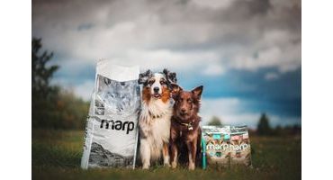 Jaký je rozdíl mezi řadami Natural a Holistic ve značce Marp?