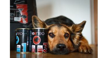 Krmivo Doxneo II. diel