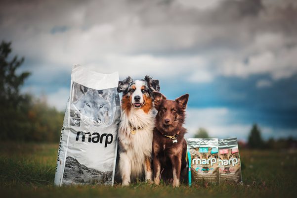 Jaký je rozdíl mezi řadami Natural a Holistic ve značce Marp?