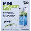 T.A.O.S. Forest Ant Mini Antquarium