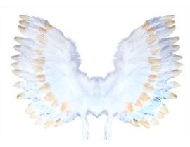 Andělská křídla s peřím bílo-zlatá