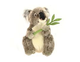 Plyš Koala 30 cm