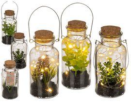 Dekorativní rostlina se světýlky ve sklenici