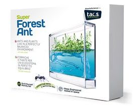 T.A.O.S. Super Forest Ant Ecoterrarium