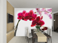 1Wall fototapeta Orchidea 315x232 cm