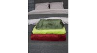 Homeville deka mikroplyš 150x200 cm sv. zelená