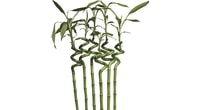 Chránič matraca Bamboo z prírodných vlákien