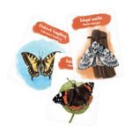 Pidikarty: Motýli
