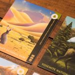 Parks Memories: A Strategic Matching Game (Mountaineer Set)