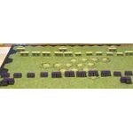 Command & Colors: Medieval