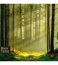 Black Forest - Black Forest