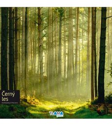 Černý les - Černý les