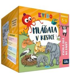 Kvído: Mláďata v kostce - Kvído: Mláďata v kostce