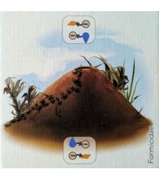 Petrichor - Anthill promo - Petrichor - Anthill promo