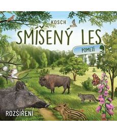 Smíšený les - Pomezí - Smíšený les - Pomezí
