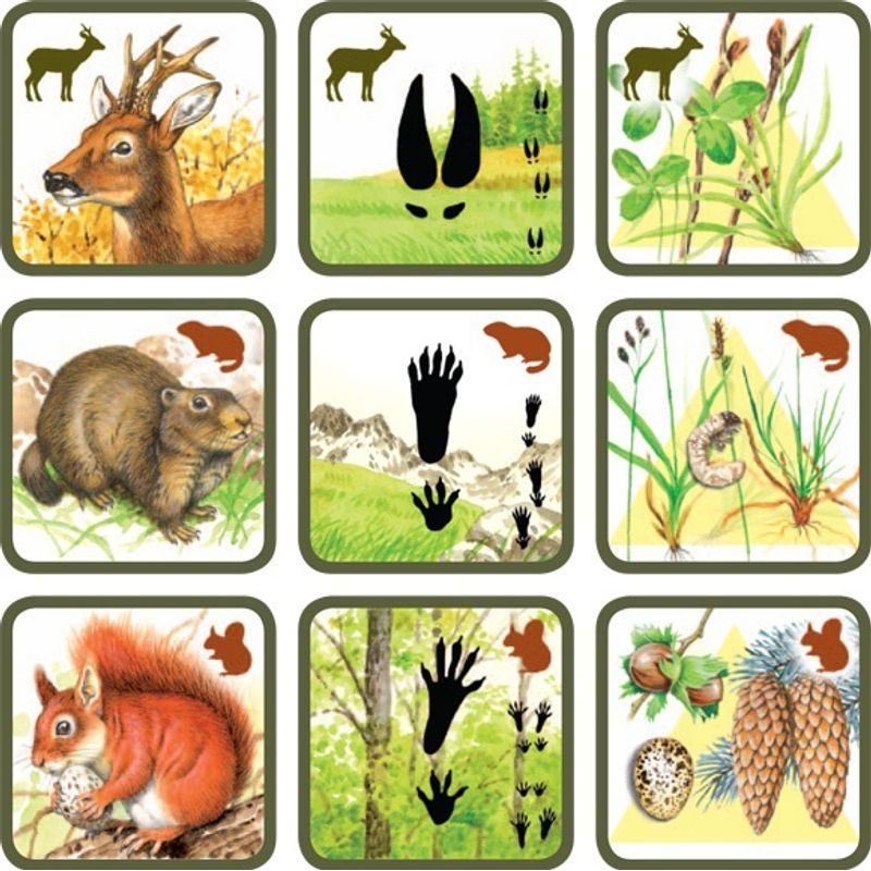 Pexetrio Plus: Savci