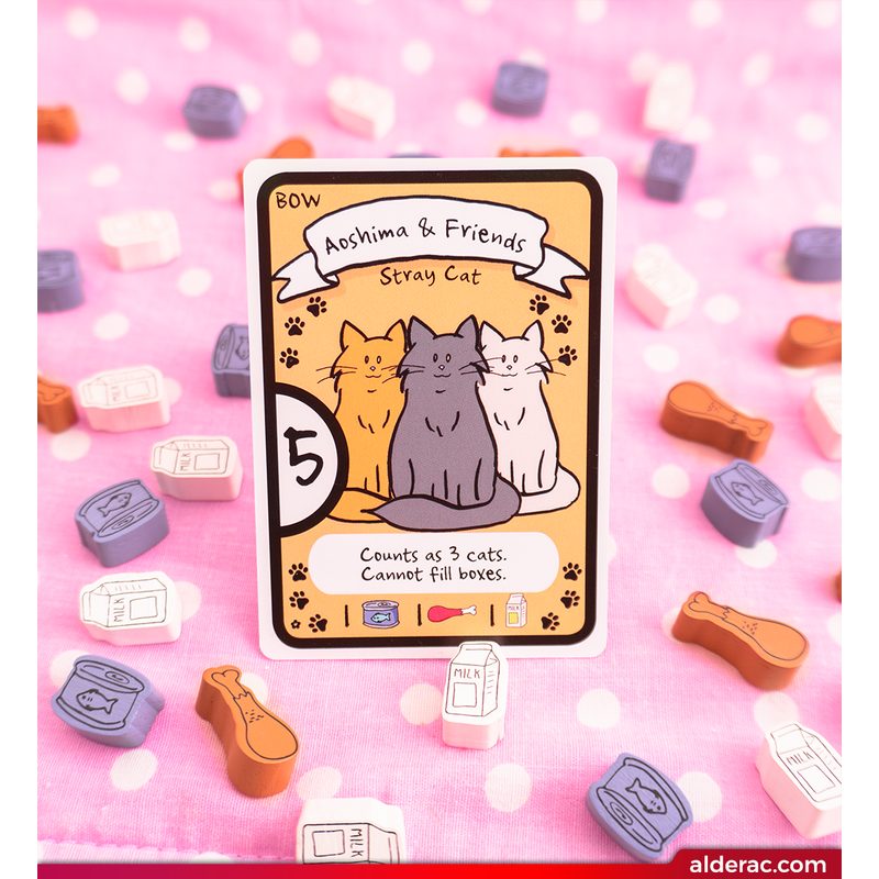 Cat Lady
