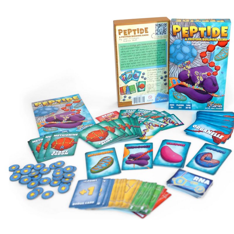 Peptide: A Protein Building Game