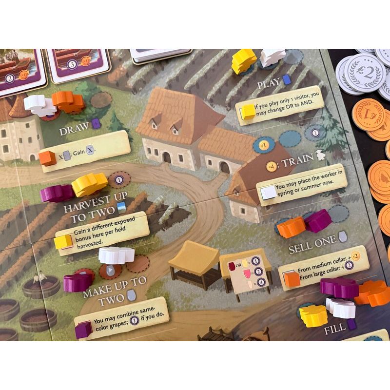 Viticulture - Bordeaux (EN)