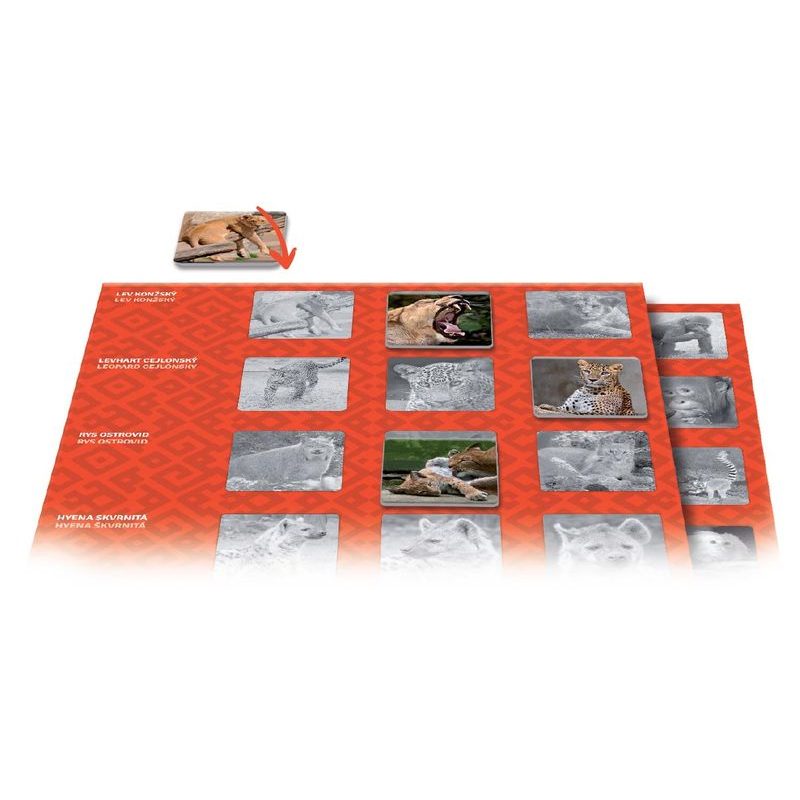 Loto Trio: Zvířata v ZOO 1