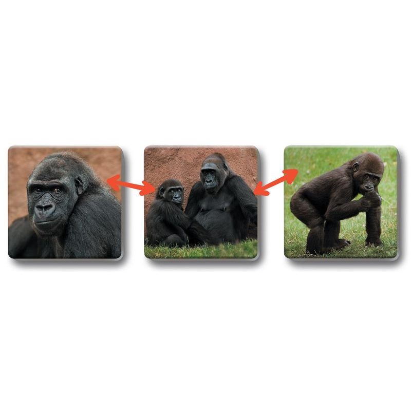 Loto Trio: Zvířata v ZOO 1