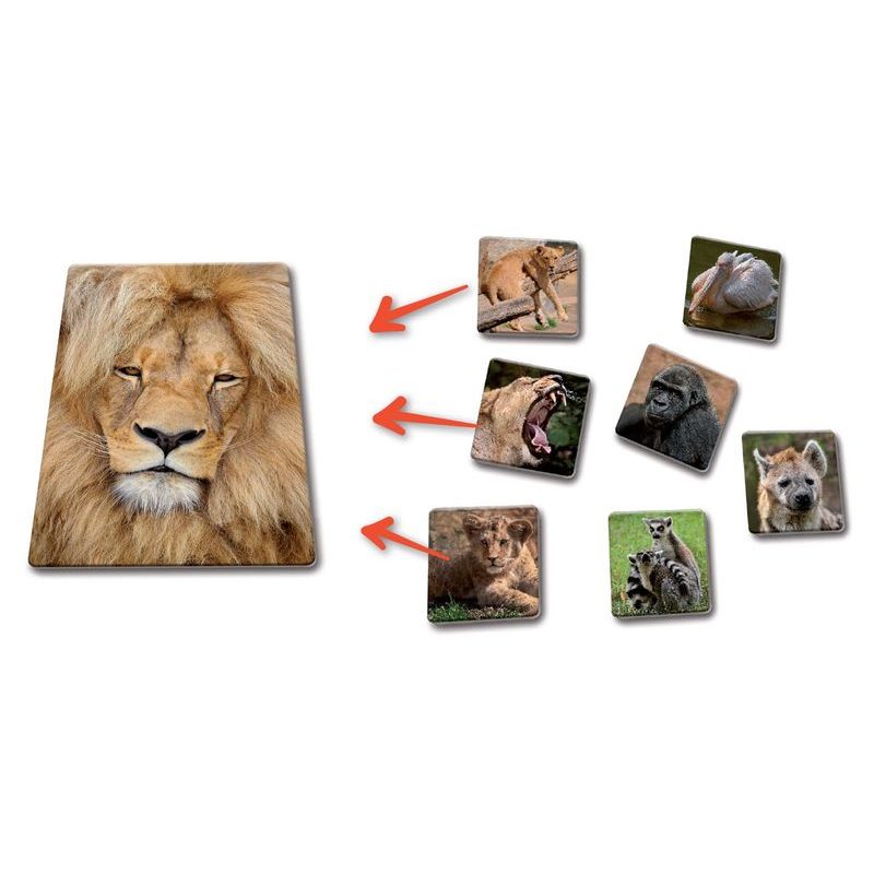 Loto Trio: Zvířata v ZOO 1