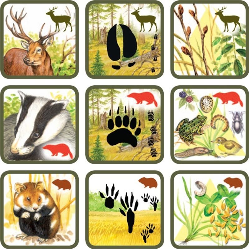 Pexetrio Plus: Savci