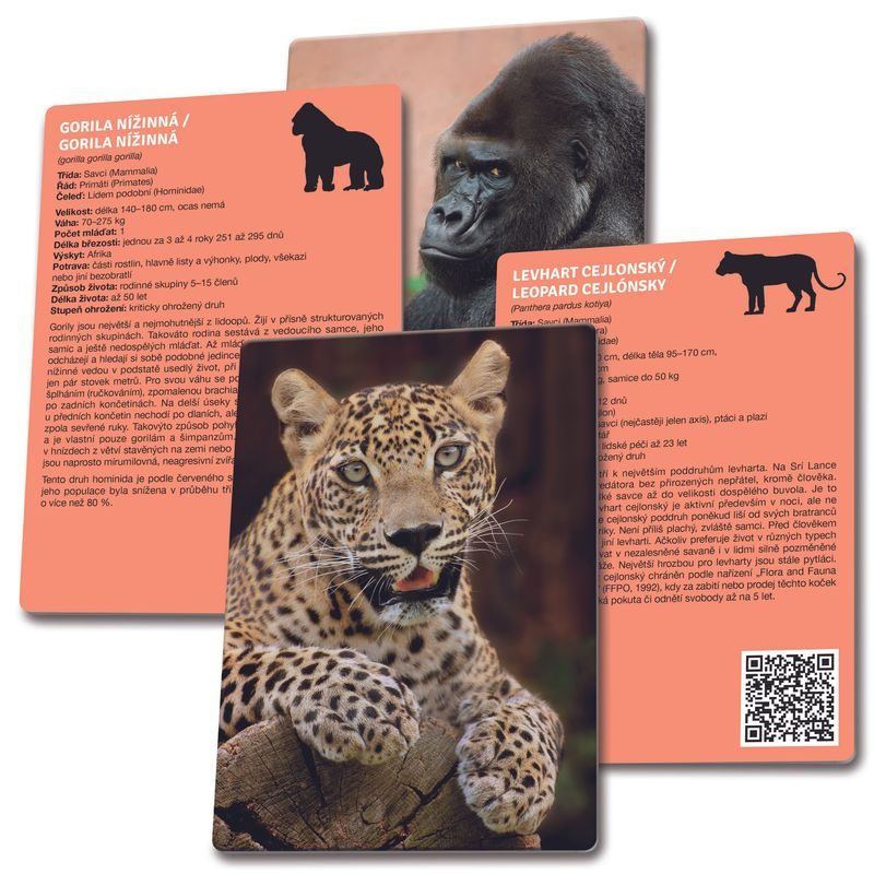 Loto Trio: Zvířata v ZOO 1