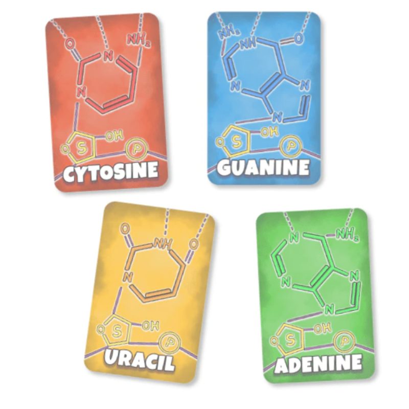 Peptide: A Protein Building Game