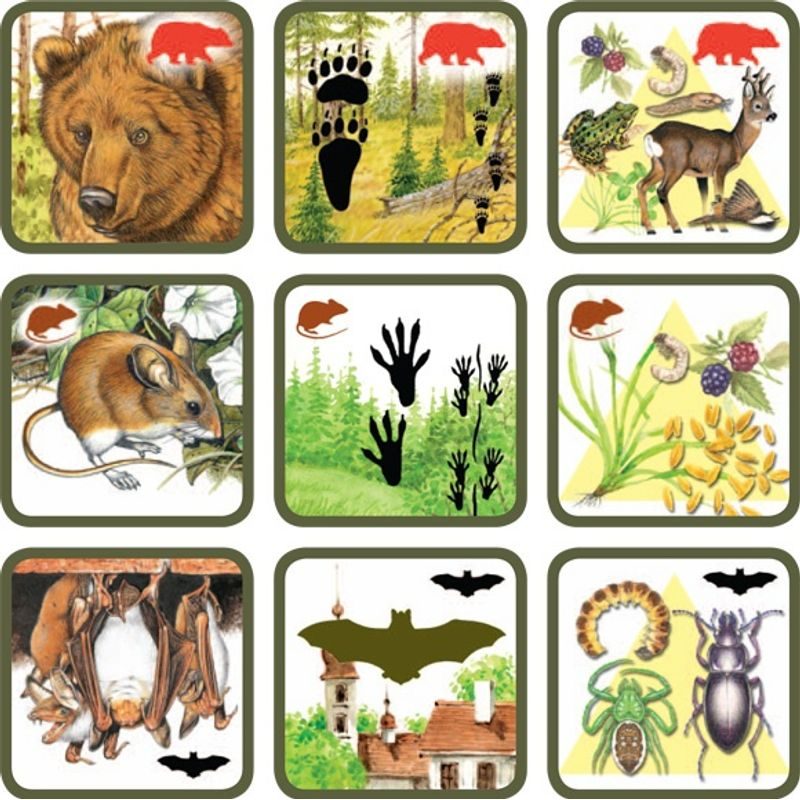 Pexetrio Plus: Savci