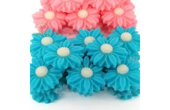 Sedmikrásky (20ks) modré