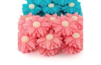 Sedmikrásky (20ks) růžové