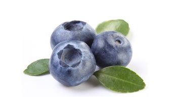 Ovocná náplň Borůvka Frutafill 6 kg