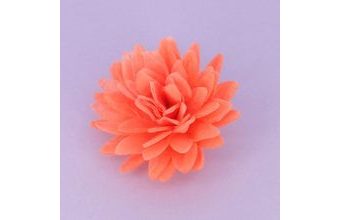 Květ z jedlého papíru Astra lososová - 5,5 cm