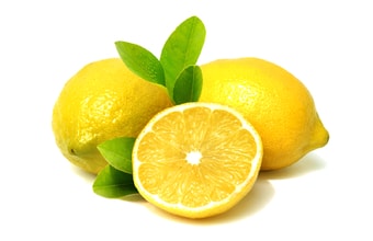 Citropasta - citronová ochucovací pasta 5 kg