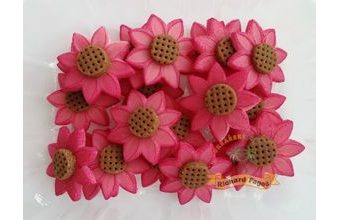 Třapatka (Echinacea) 20ks