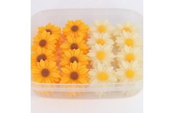 Sedmikrásky a slunečnice (40ks)