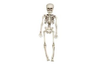 Skeleton - Kostra k zavěšení 40 cm - Halloween