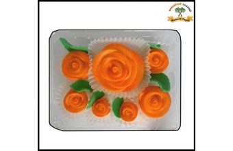 Dortová sada růží - Stříkané oranžové stříkané oranžové