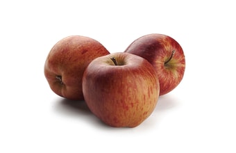 Ovocná náplň Jablko Frutafill 5 kg