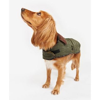 Barbour Quilted Dog Coat — Olive