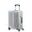 Kabinový hliníkový cestovní kufr Lite-Box Alu S 40 l (stříbrná)