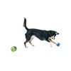 PetSafe® Ricochet elektronická hračka pro psa