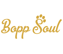 Bopp Soul